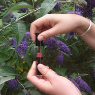 Water Lip Tint Cherry 